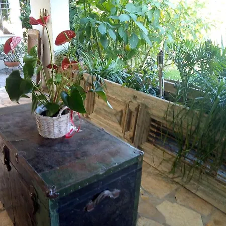 Maria's Akrata
