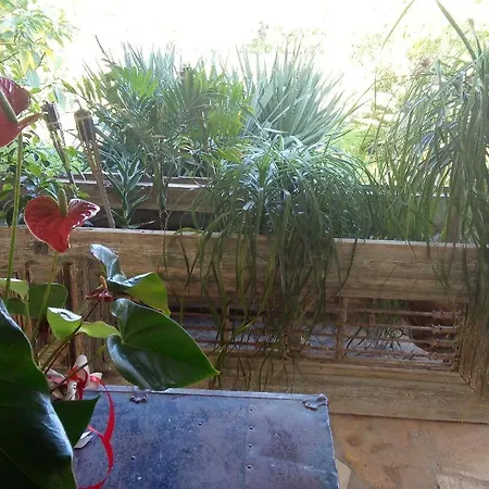 Maria's * Akrata